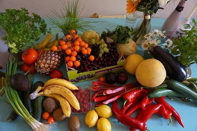 diet and vein health